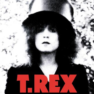 T. Rex -  The Slider